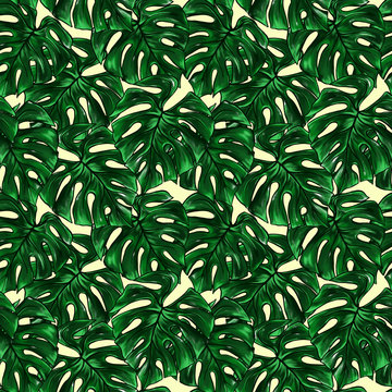 Green monstera leaf tropical plant watercolor ink line art hand drawn sketch seamless pattern texture background