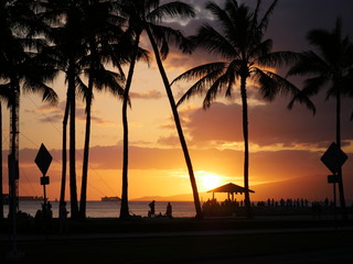 Waikiki beach sunset silhouette with people pier and palm trees 