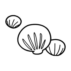 Conch cartoon illustration isolated on white background for children color book