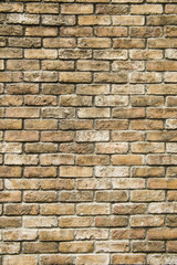 Fototapeta premium レンガの壁