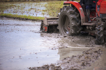Obraz premium tractor is preparing the area for growing rice