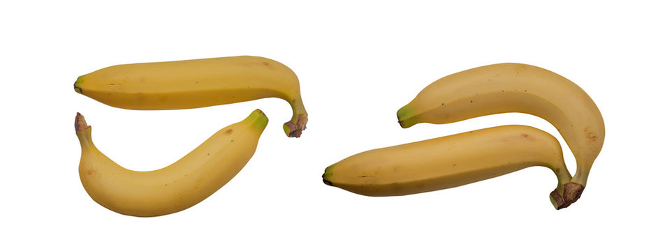 Cavendish banana (Kluai Hom thong)