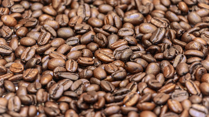 Coffee bean closeup