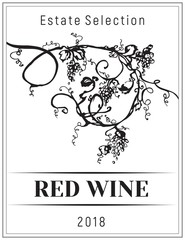 Vintage wine label.Vector vertical banners with hand drawn grapes. Black and white illustration