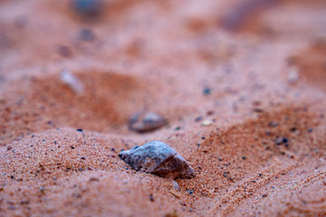 close up of a stone in sand
