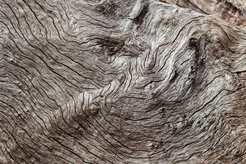 Texture of old wooden natural background