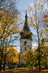 Fototapeta na wymiar Tower surrounded with autumn trees in Vyborg, Russia