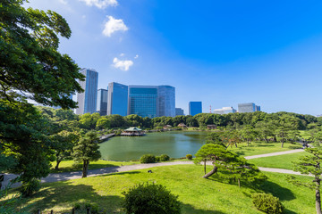 Fototapeta premium 浜離宮恩賜庭園 富士見山からの眺望