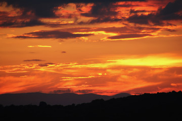 Golden Sunset