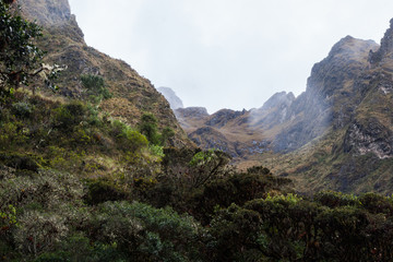 From the wild jungle, the Andes mountains covered by clouds and fog on the Inca Trail hiking paved path to Machu Picchu. Peru. South America. No people.