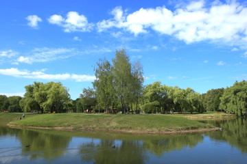 Fototapeta na wymiar City public park pond in summer. Scenic view of park pond.