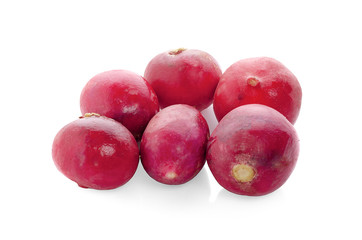 Small garden radish isolated on white background cutout