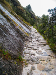 Ancient Inca Trail paved path to the lost city of Machu Picchu. Peru. South America. No people