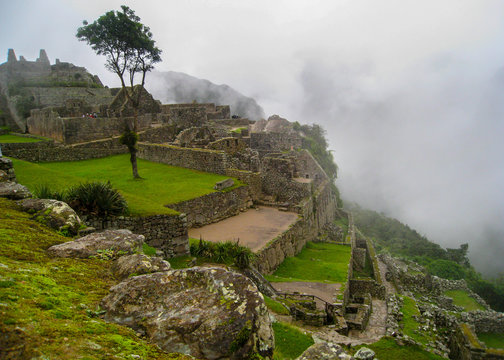 Gardens and tree of Machu Picchu ruins at dawn with fog on the mountains on the background. Peru. South America. No people.
