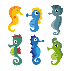 seahorse vector collection design
