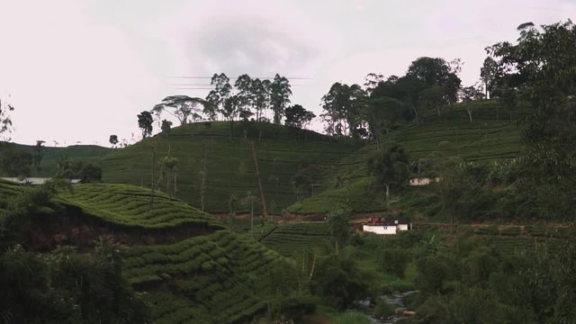 1920x1080 24 fps.
on the way from Kandy to Ella (sri lanka) passing some beautiful rice fields.