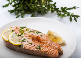 Salmon slice with a lemon and green parsley