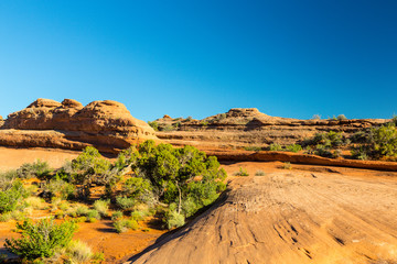 Scenery at Delicate Arch, Arches National Park, Utah, on a bright sunny day