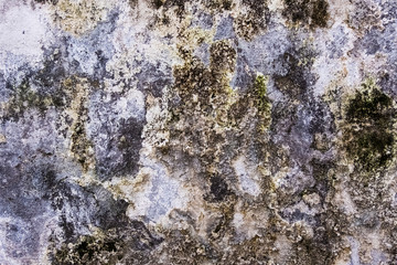 Texture of a wall in the city. World. Perfect wallpaper background. No people.