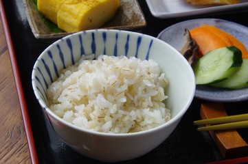 日本食　Japanese food　