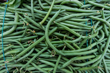 City market stall with fresh green beans. Rome. Europe. No people.