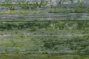 Beautiful wallpaper texture of worn green rusty paint in a wood plank wall.