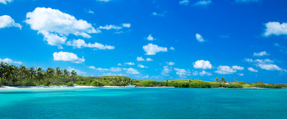 beach and tropical sea