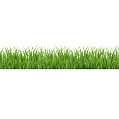 Fototapeta premium Green Grass Border Isolated White Background