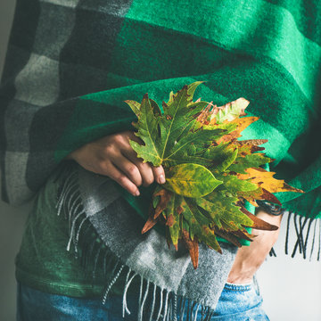 Woman in warm woolen green check scarf or blanket and blue jeans with Autumn fallen leaves in her hands, square crop. Fall cosy mood lifestyle concept
