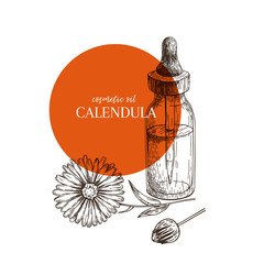 Hand drawn set of essential oils. Vector calendula flower. Medicinal herb with glass dropper bottle. Engraved art. Good for cosmetics, medicine, treating, aromatherapy, package design health care. - 212865440
