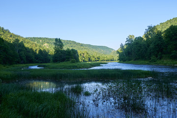Picturesque mountain river in Russia