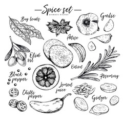 Hand drawn herbs, spices and condiments. Vector bay leaves, anise, garlic, olive oil, onion, pepper, chilli, lemon, rosemary and ginger icons. Engraved illustration. Restaurant menu design, packaging. - 212866453