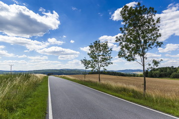 Summer country road with trees beside.