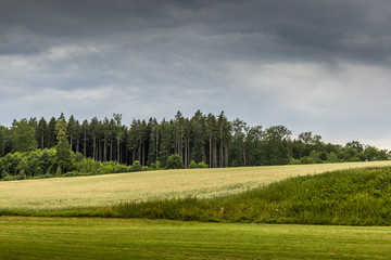 Summer  landscape in the national park Sumava - Czech Republic