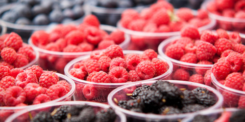 ripe raspberries and blackberries spread out in plastic cups