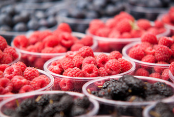 ripe raspberries and blackberries spread out in plastic cups