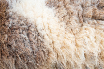 Fleece texture.