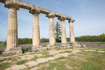 Fototapeta premium Palatine Tables, Metaponto