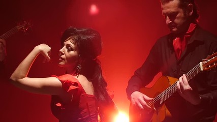 Flamenco. Dancer performs movements with her hands to the music on the guitar. Light from behind. smoke background. Slow motion