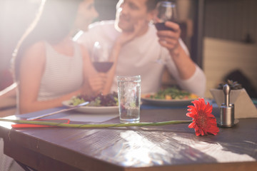 Flower on table. Beautiful red flower lying on the wooden table while beaming young couple having romantic dinner