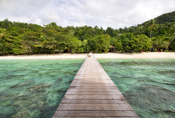 wooden pier and small dog on the sea of raja ampat archipelago