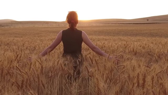 Buğday Tarlasında Altın Başakların Sesi