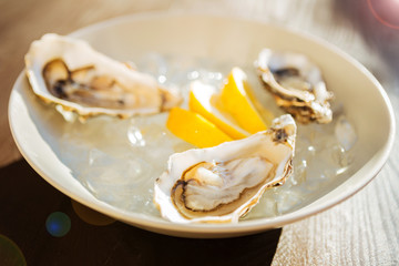 Delicious oysters. Fresh delicious oysters standing and waiting for delivering to prosperous gourmet clients