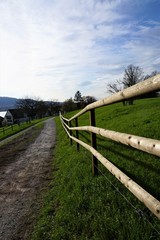 Landschaft in Zollikon im Kanton Zürich in der schweiz in der nähe von Epilepsie Krankenhaus im Frühling 