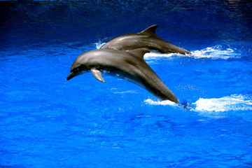 2015-10 S&uuml;dafrika