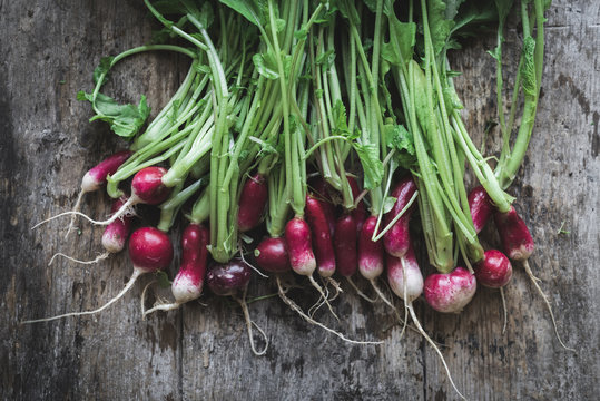 Bunch of fresh radish with foliage