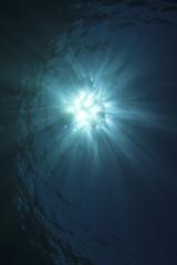Obraz premium Blue sea water background and sunburst 