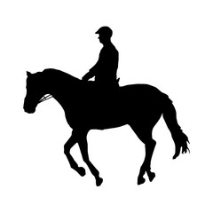 Fototapeta na wymiar Black silhouette of horse with rider