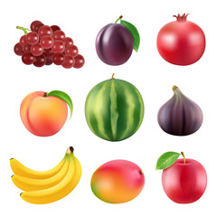 Realistic vector illustrations of various fruits