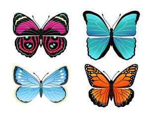 Butterflies Collection Types Vector Illustration